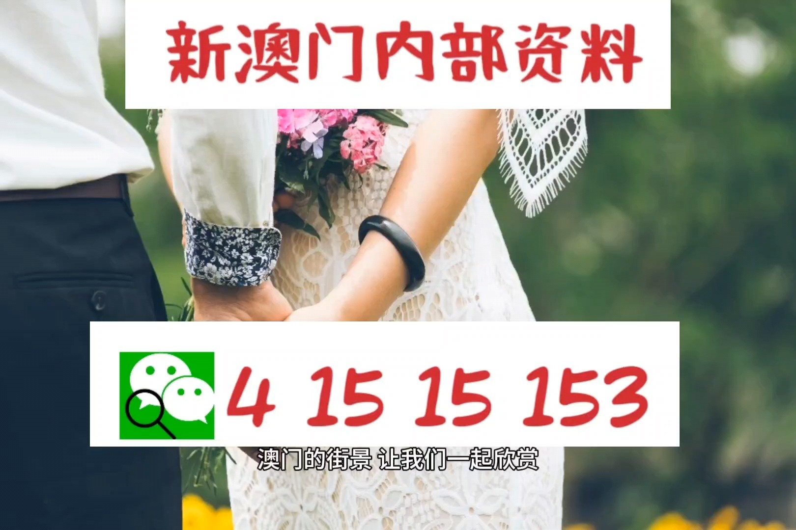 2025澳门特马网站www，全面释义、解释与落实