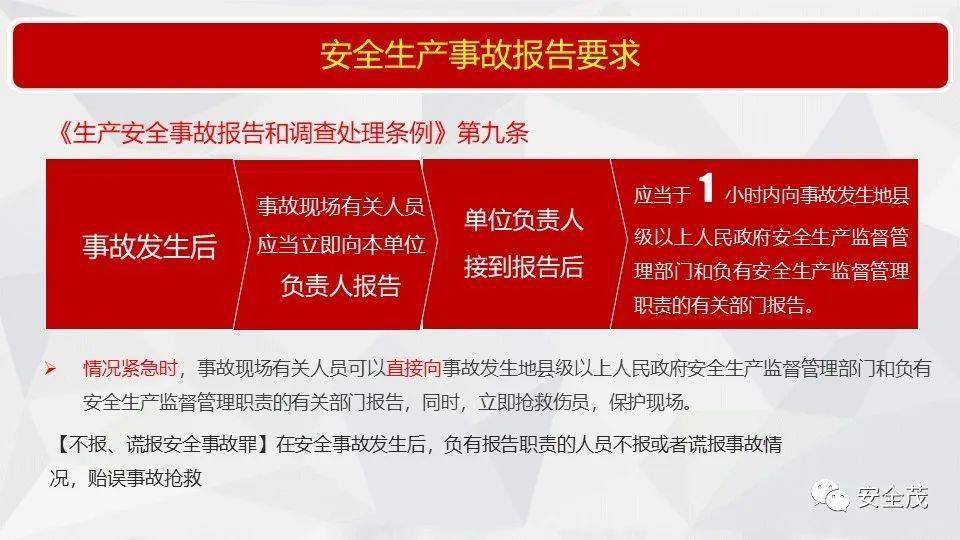 2025新奥资料正版大全全面释义、解释与落实