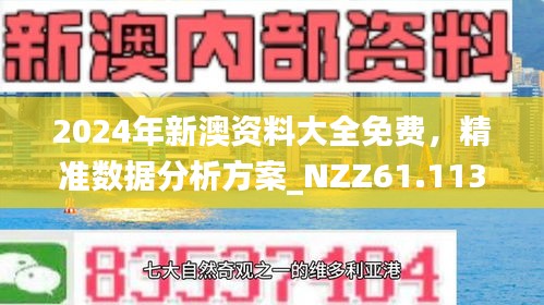 2025新澳精准正版免费大全,详细解答、解释与落实与警惕虚假宣传